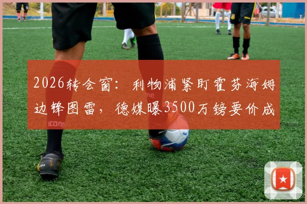 2026转会窗：利物浦紧盯霍芬海姆边锋图雷，德媒曝3500万镑要价成关键，红军引援计划深度分析